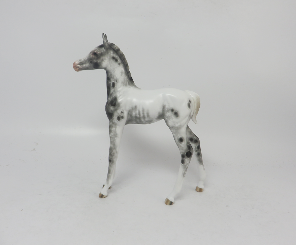 PURSUIT OF HAPPINESS- OOAK APPALOOSA FOAL BY SHERYL LEISURE  2-20-19