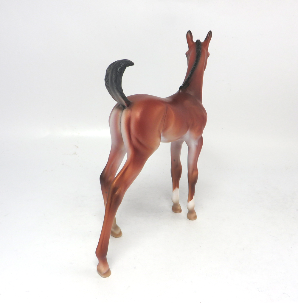 LACY--- OOAK BAY ARABIAN FOAL BY DAWN QUICK 2-20-19