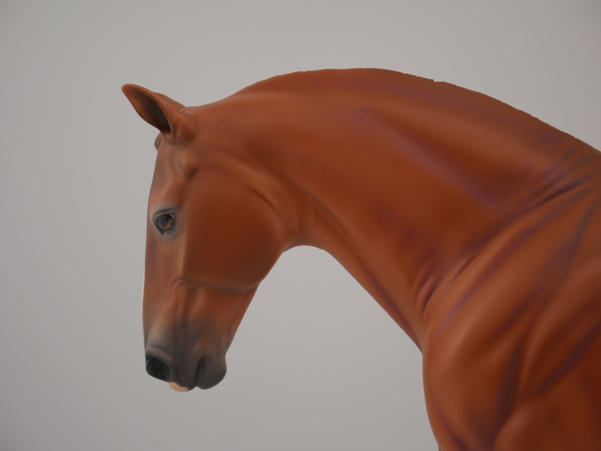 Follow Your Arrow-LE-? Art of The Horse Finalist Cameron Clow