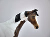 FOOTHILLS-OOAK BAY PINT WEANLING BY AUDREY DIXON