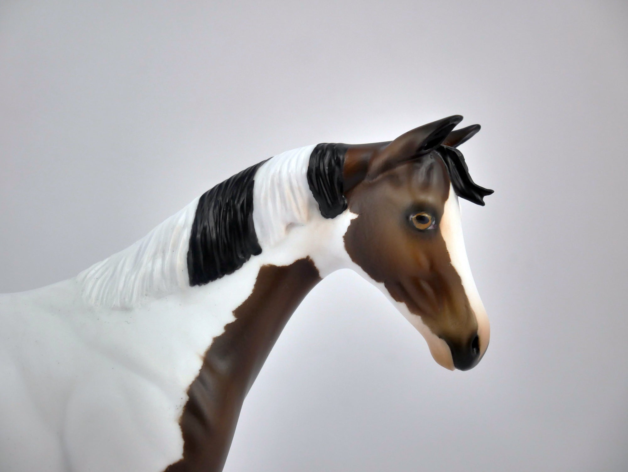 FOOTHILLS-OOAK BAY PINT WEANLING BY AUDREY DIXON