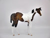 FOOTHILLS-OOAK BAY PINT WEANLING BY AUDREY DIXON