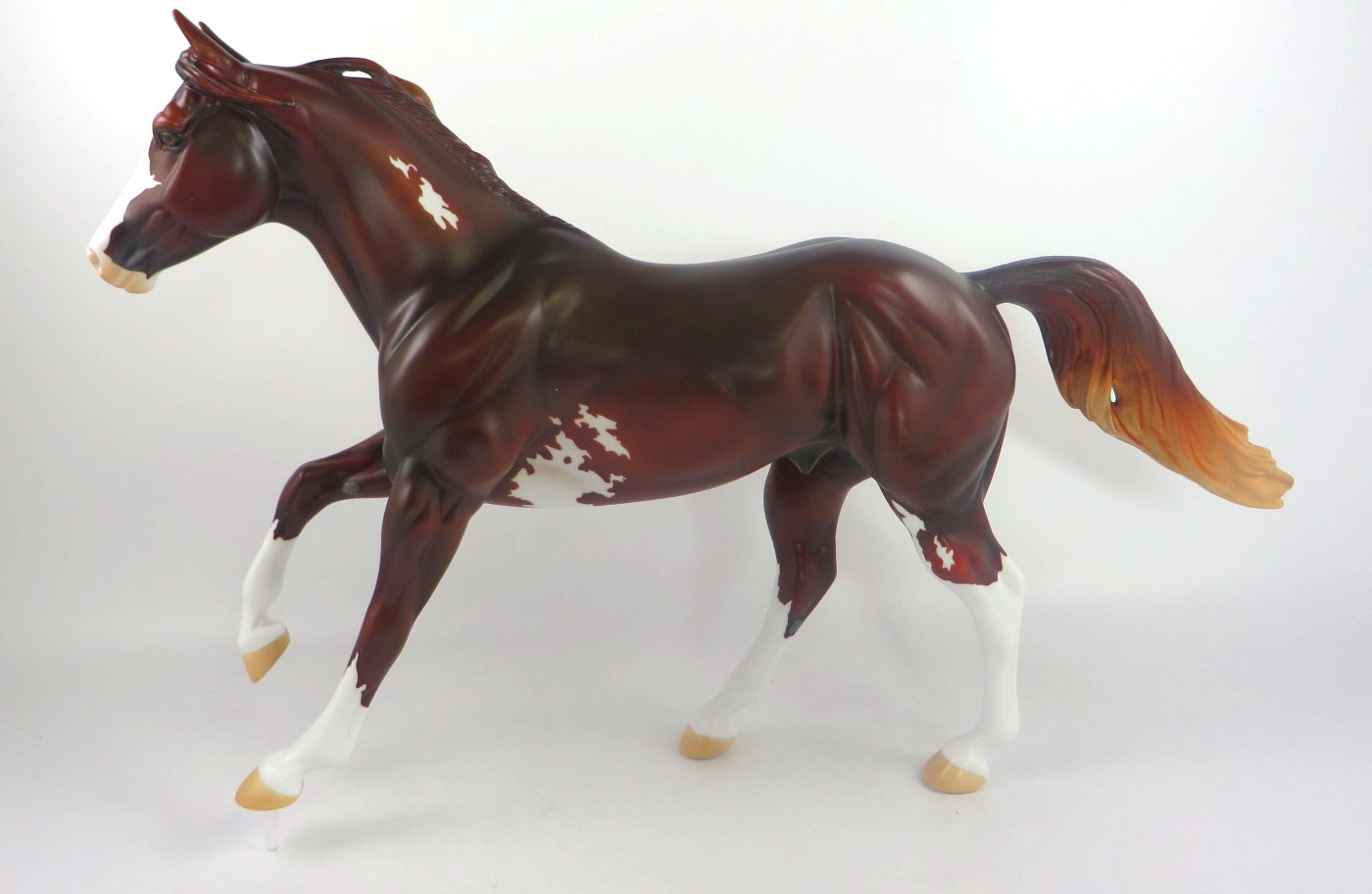 FORTY NINER-LE-5 LIVER CHESTNUT PINTO FOUNDATION QUARTER HORSE SB 20