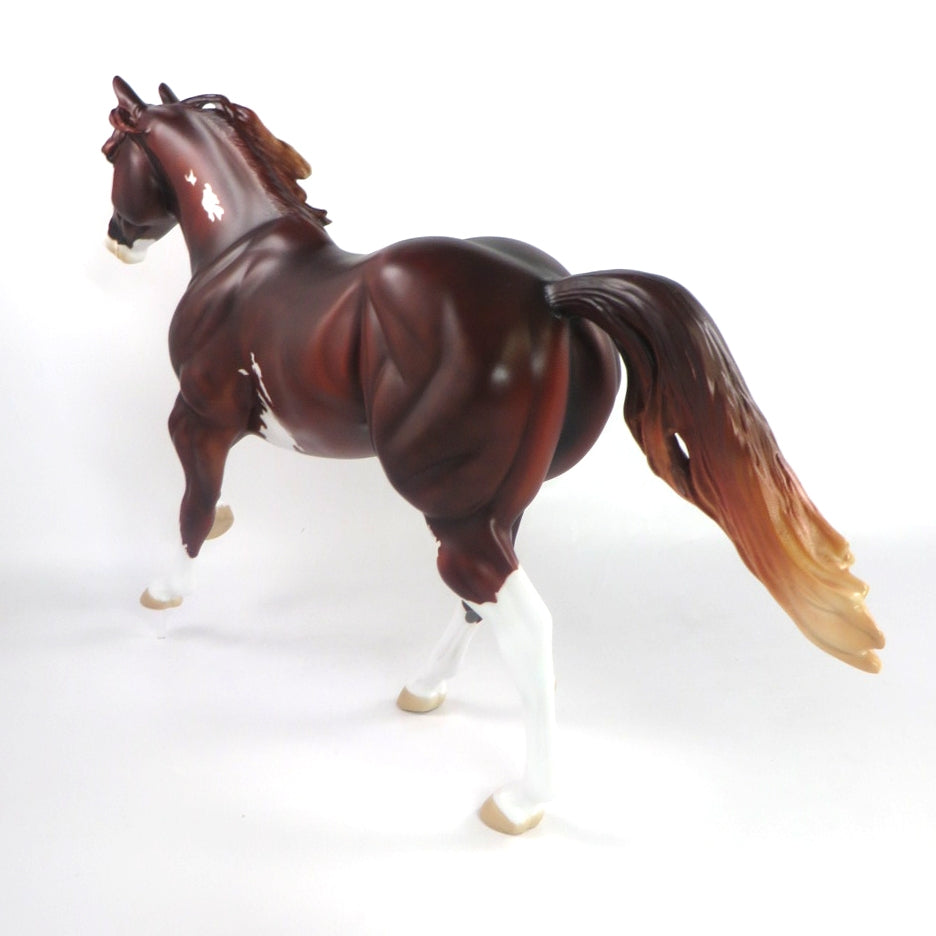 FORTY NINER-LE-5 LIVER CHESTNUT PINTO FOUNDATION QUARTER HORSE SB 20