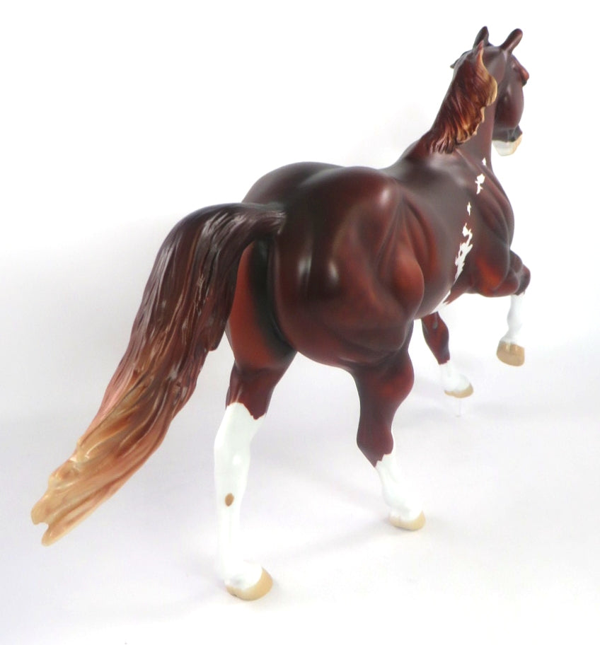 FORTY NINER-LE-5 LIVER CHESTNUT PINTO FOUNDATION QUARTER HORSE SB 20