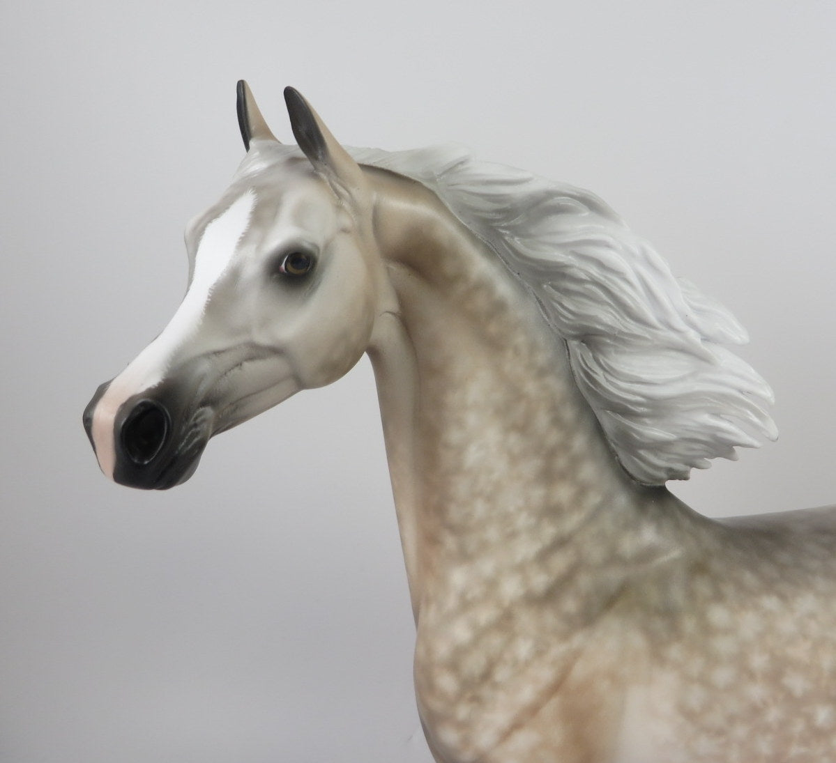 FRAIDY CAT-OOAK DAPPLE CHESTNUT GOING GREY ARABIAN BY SHERYL LEISURE MM 19