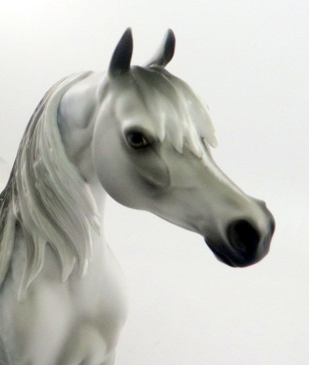 FRANKINCENSE-OOAK DAPPLE GREY ARABIAN MODEL HORSE WHS 19