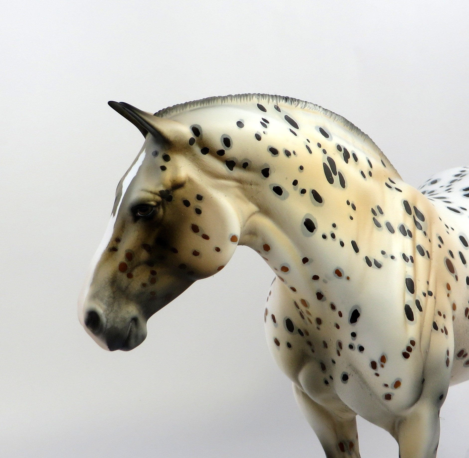 FRANQUE - OOAK LOUD BAY APPALOOSA HEAVY DRAFT MODEL HORSE BY DAWN QUICK EQ19