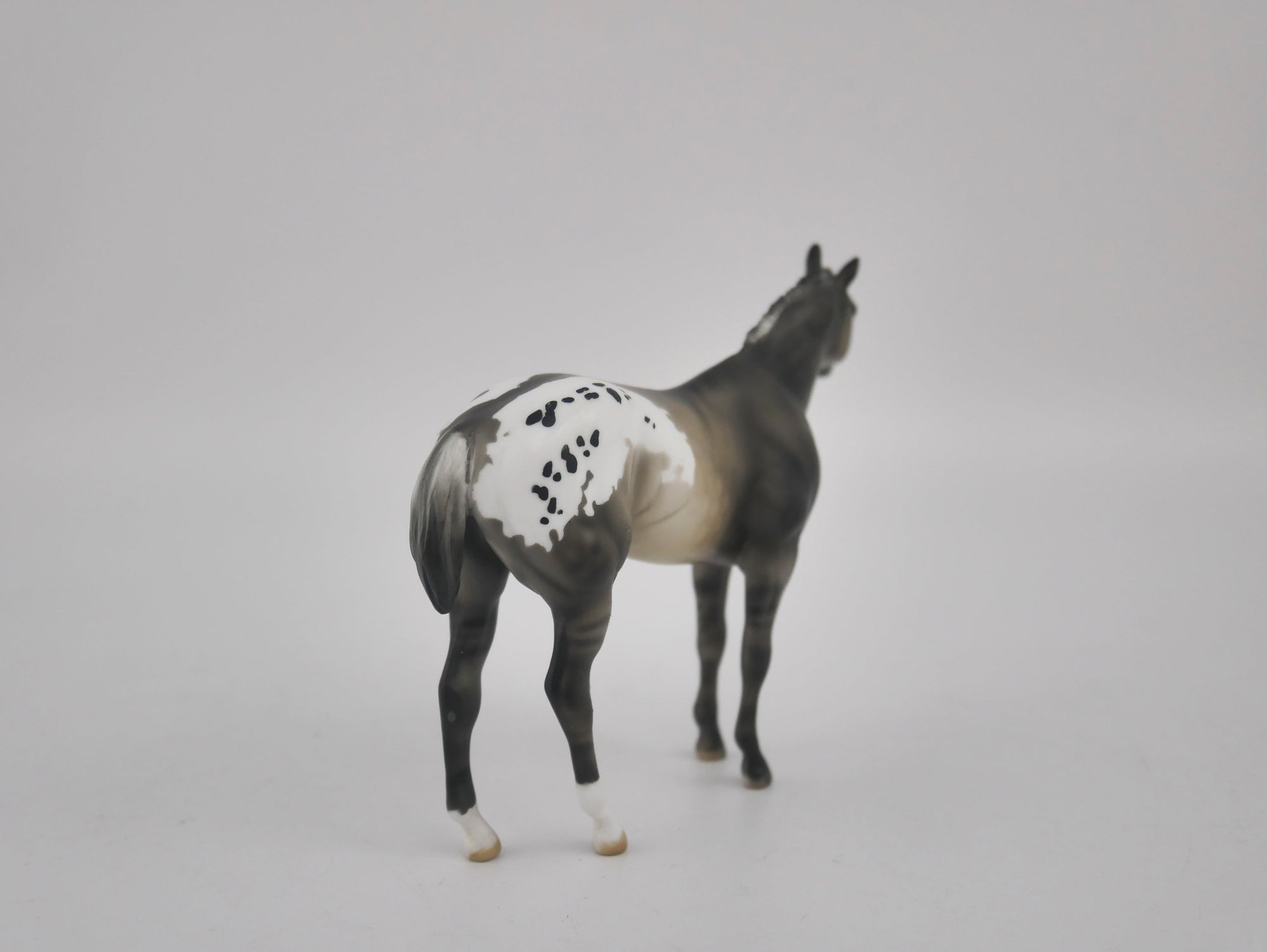 MINI ME FRIDA - LE-20 SILVER GRULLA APPALOOSA FRIDAY RELEASE BY  JULIE KEIM EQ 2020