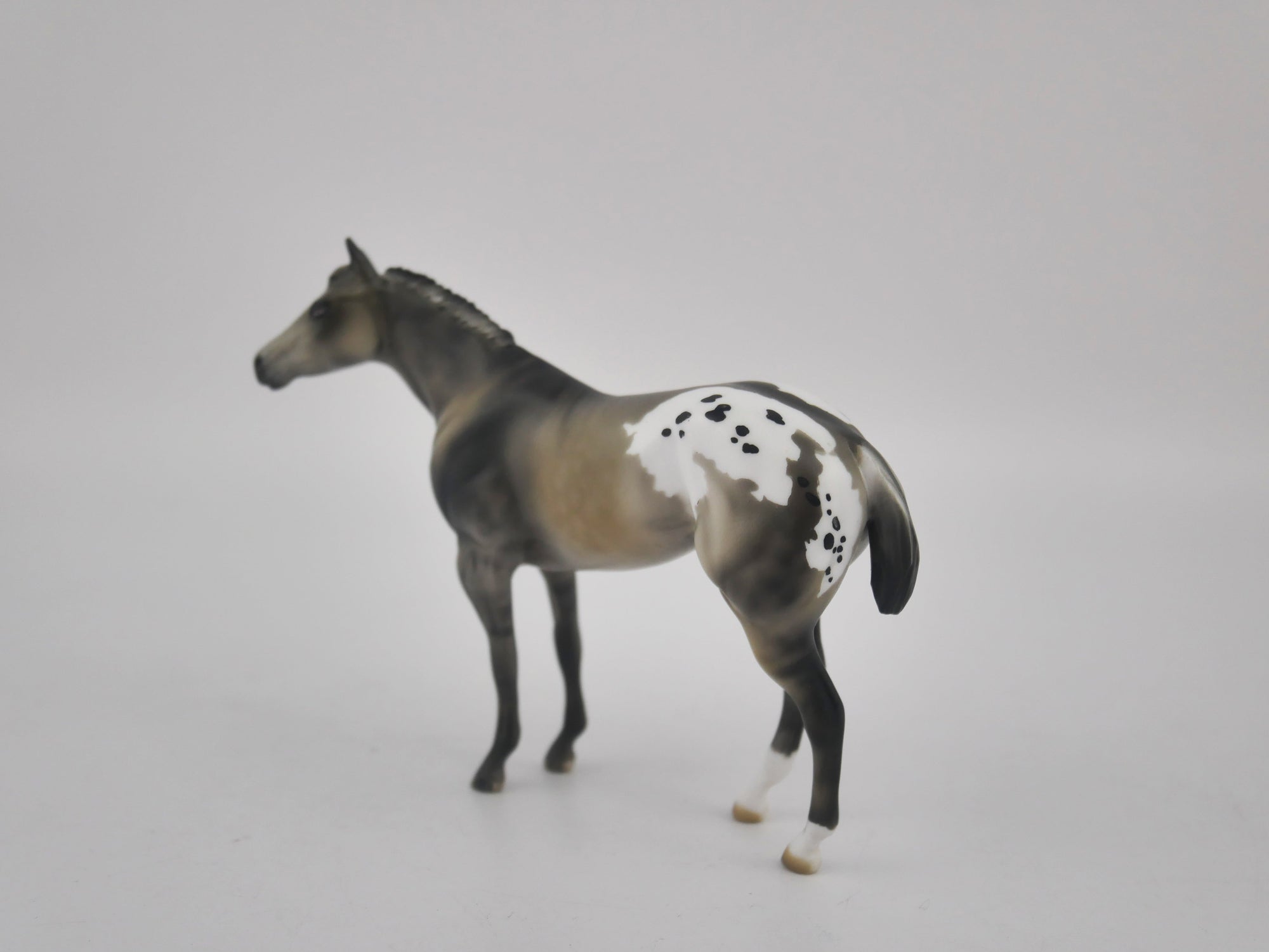 MINI ME FRIDA - LE-20 SILVER GRULLA APPALOOSA FRIDAY RELEASE BY  JULIE KEIM EQ 2020