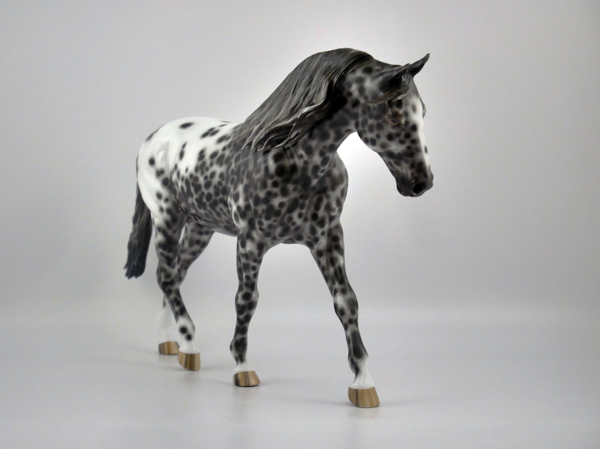FRESCO-OOAK LOUD APPALOOSA IRISH DRAFT BY SHERYL LEISURE