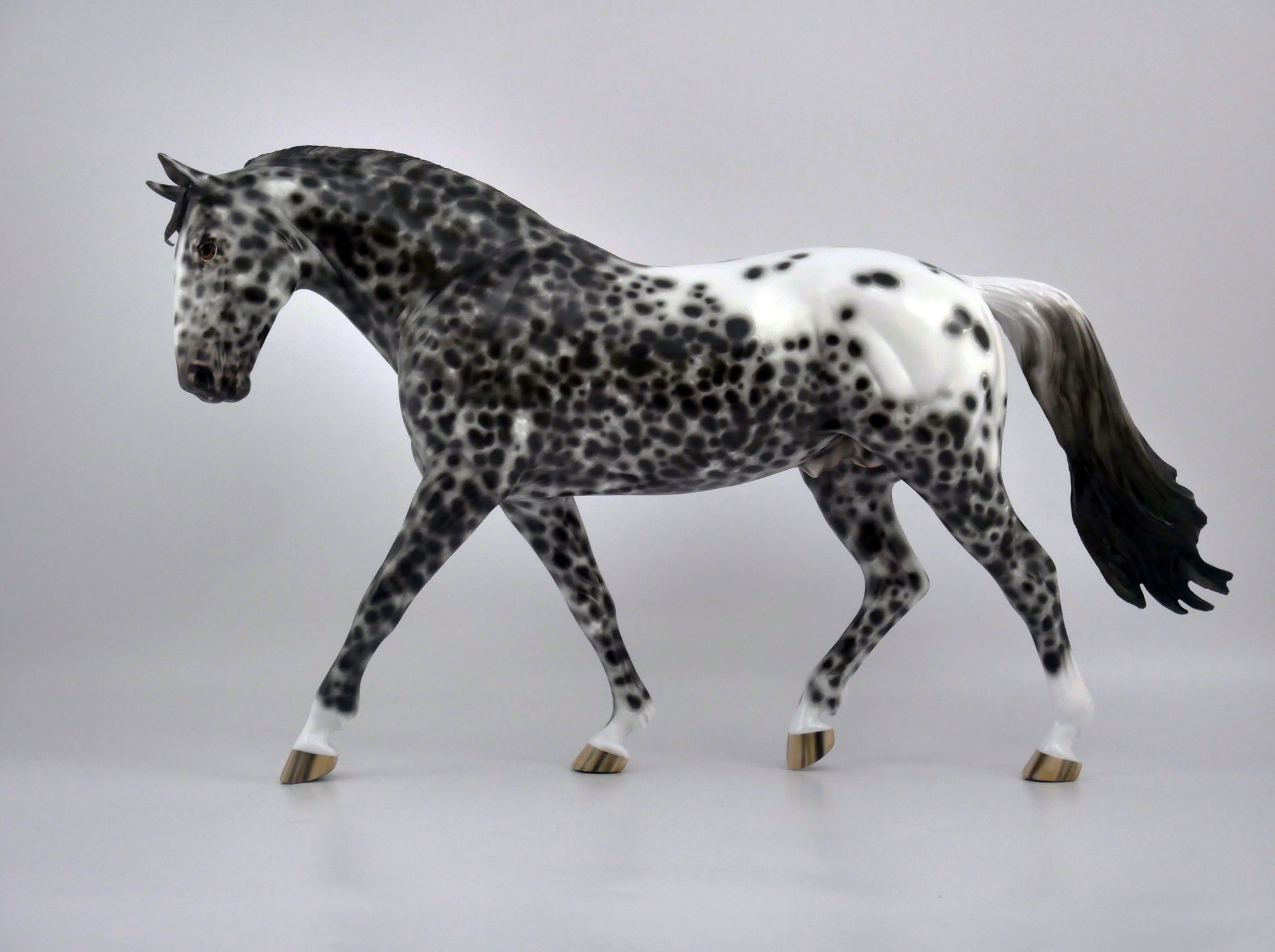 FRESCO-OOAK LOUD APPALOOSA IRISH DRAFT BY SHERYL LEISURE