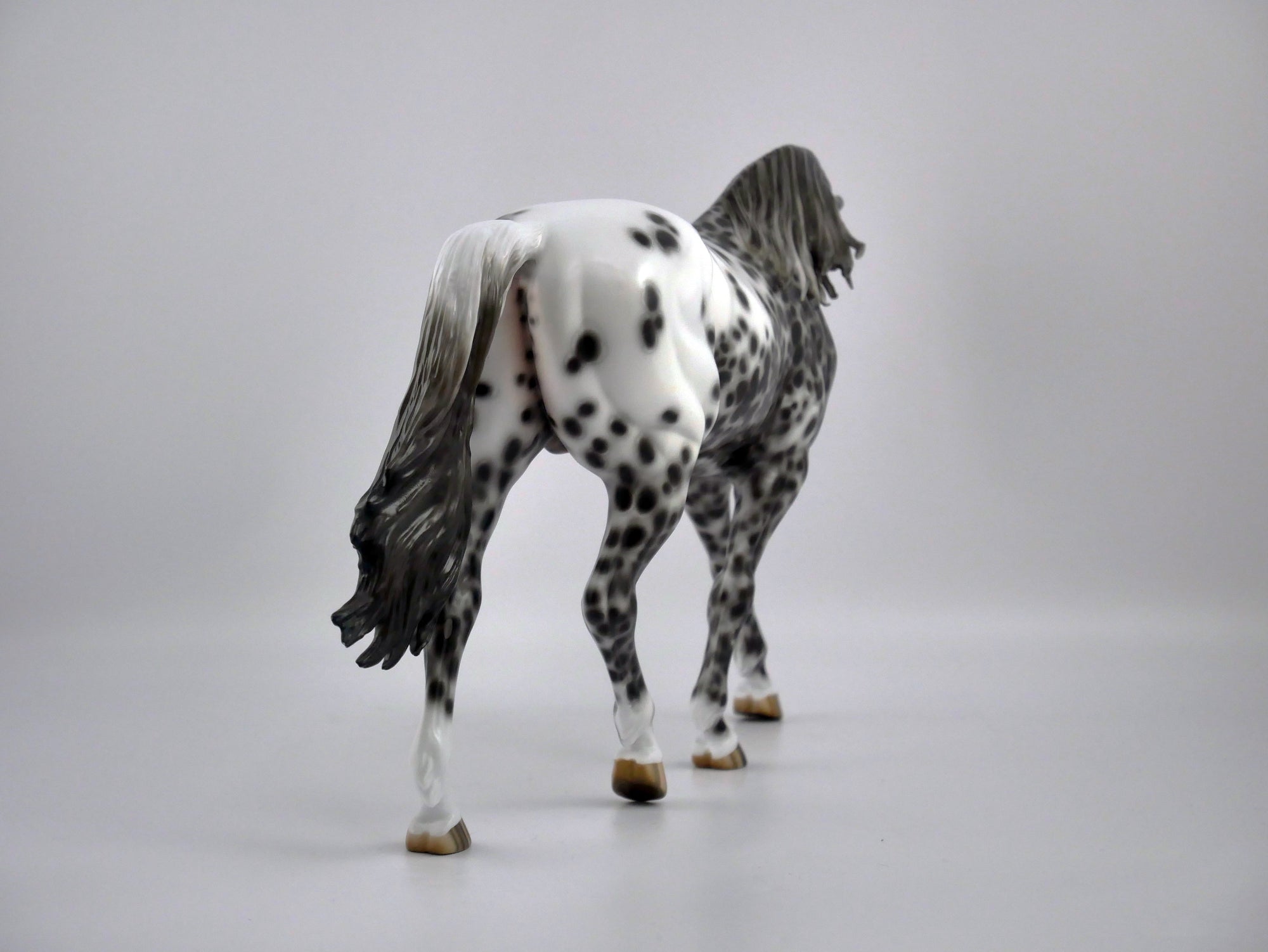 FRESCO-OOAK LOUD APPALOOSA IRISH DRAFT BY SHERYL LEISURE