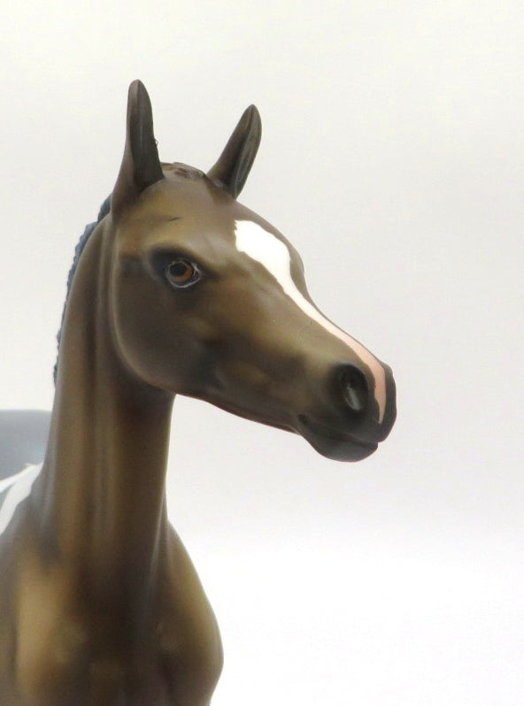 FRESH WATER - LE-12 BLUE ROAN APPY ARABIAN FOAL BY DAWN QUICK EA/MW 2020