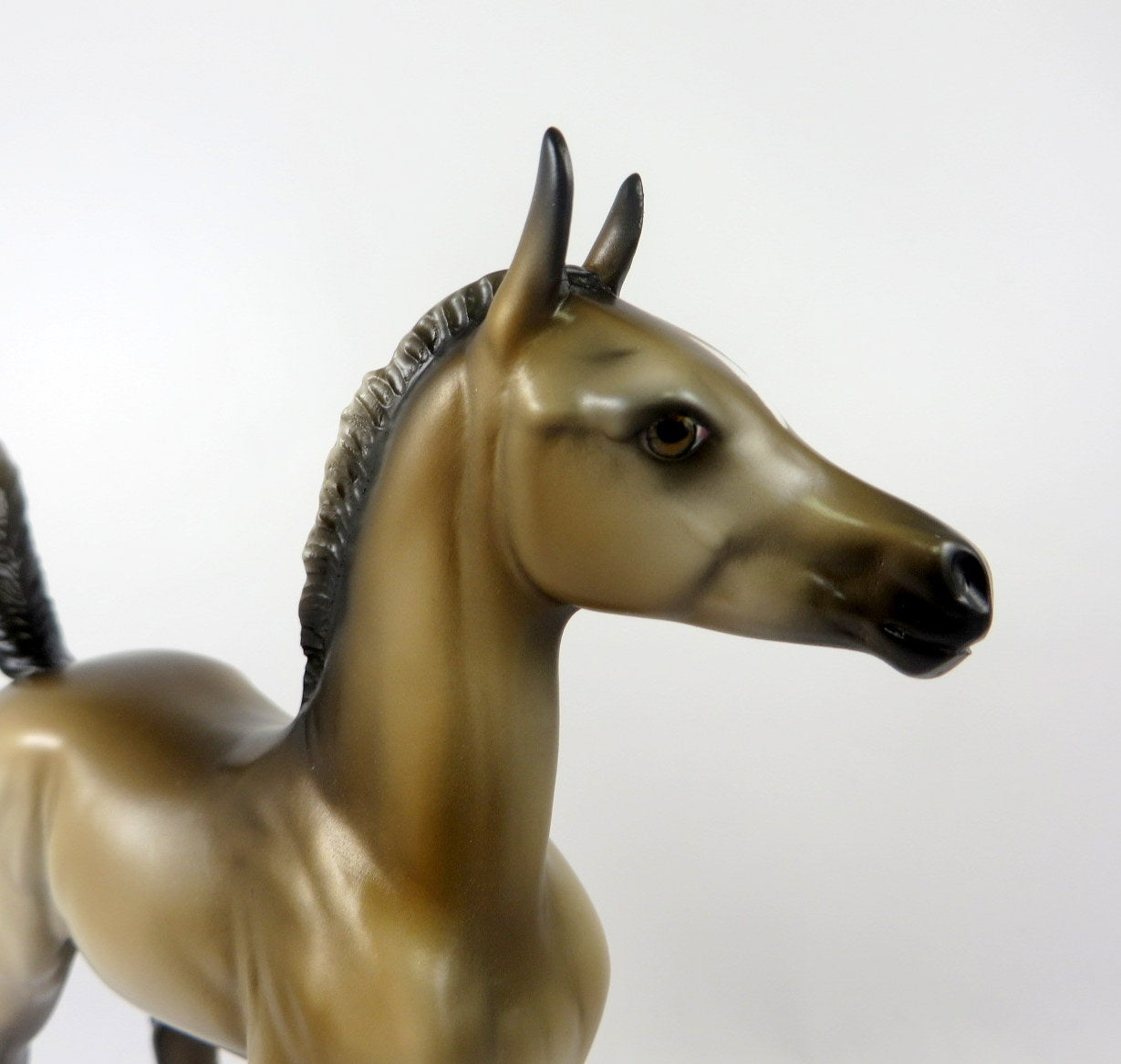 FREYA-OOAK BUCKSKIN FOAL MODEL HORSE BY MELISSA FOX 11/8/19