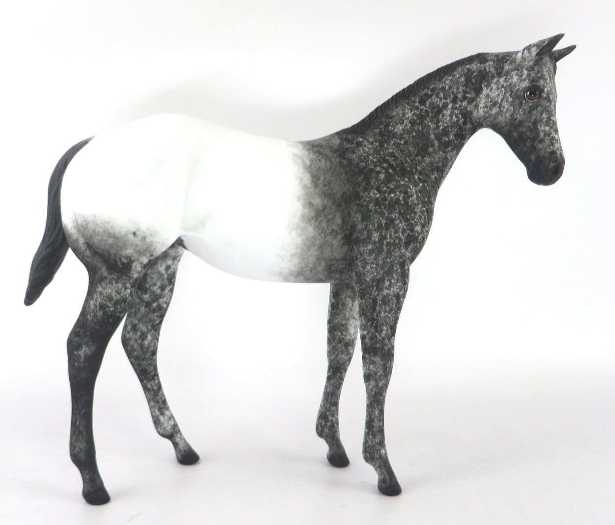 FROSTY - OOAK BLACK APPY WEANLING MODEL HORSE BY AL KATT WHS 19