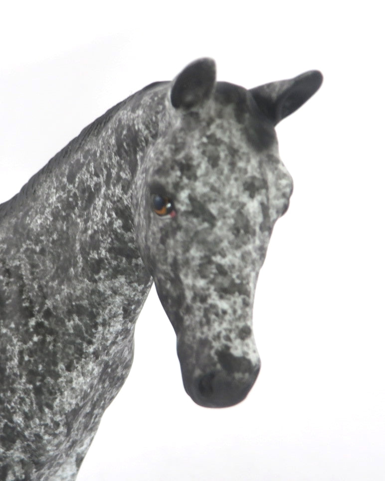 FROSTY - OOAK BLACK APPY WEANLING MODEL HORSE BY AL KATT WHS 19