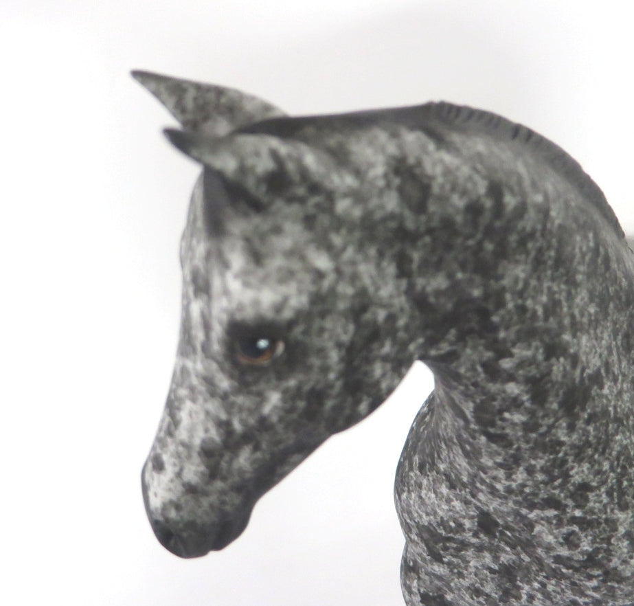 FROSTY - OOAK BLACK APPY WEANLING MODEL HORSE BY AL KATT WHS 19