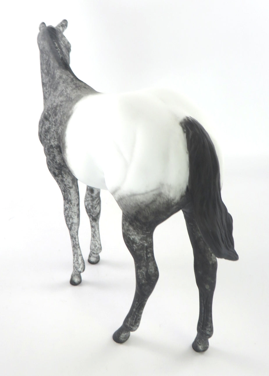 FROSTY - OOAK BLACK APPY WEANLING MODEL HORSE BY AL KATT WHS 19