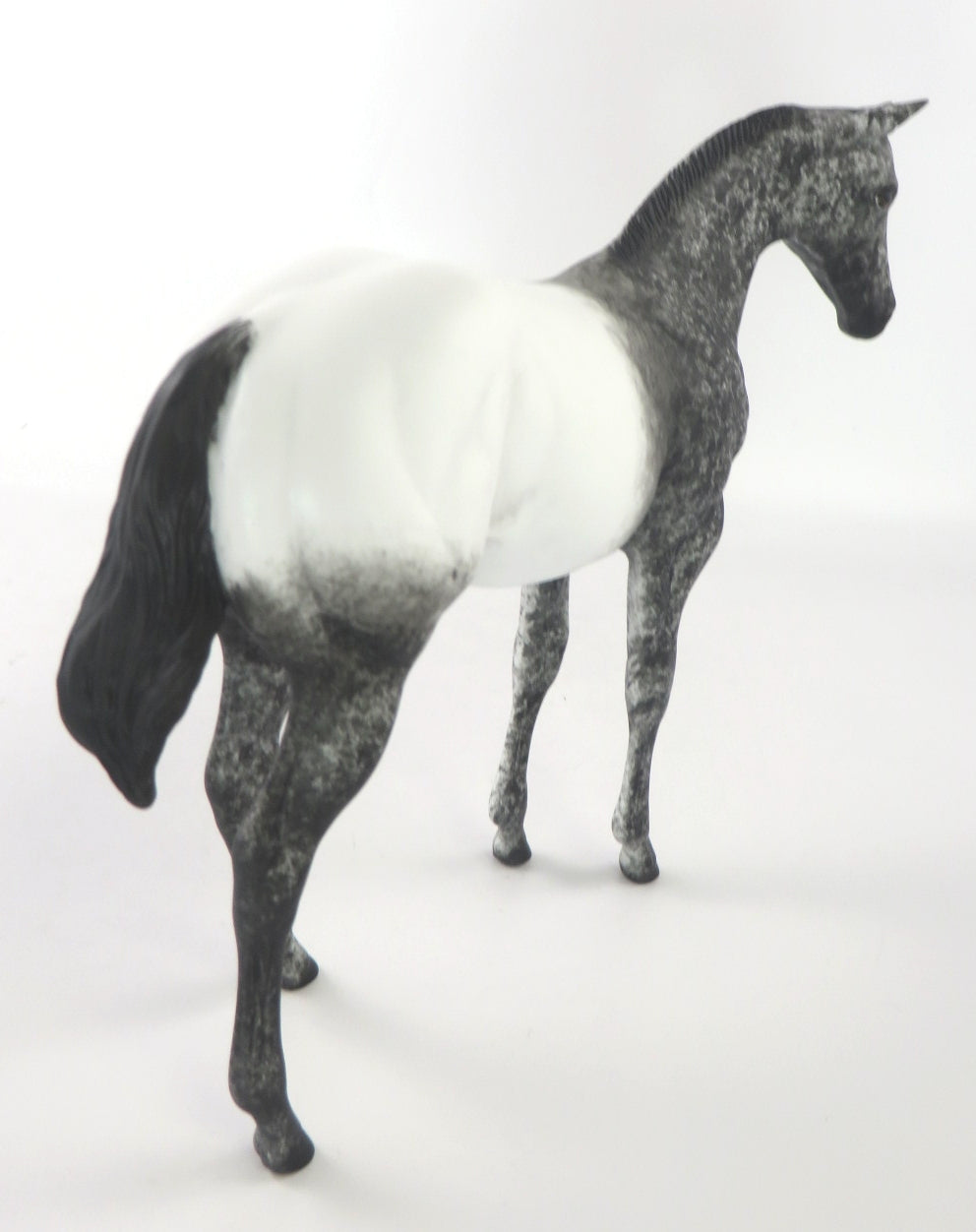 FROSTY - OOAK BLACK APPY WEANLING MODEL HORSE BY AL KATT WHS 19