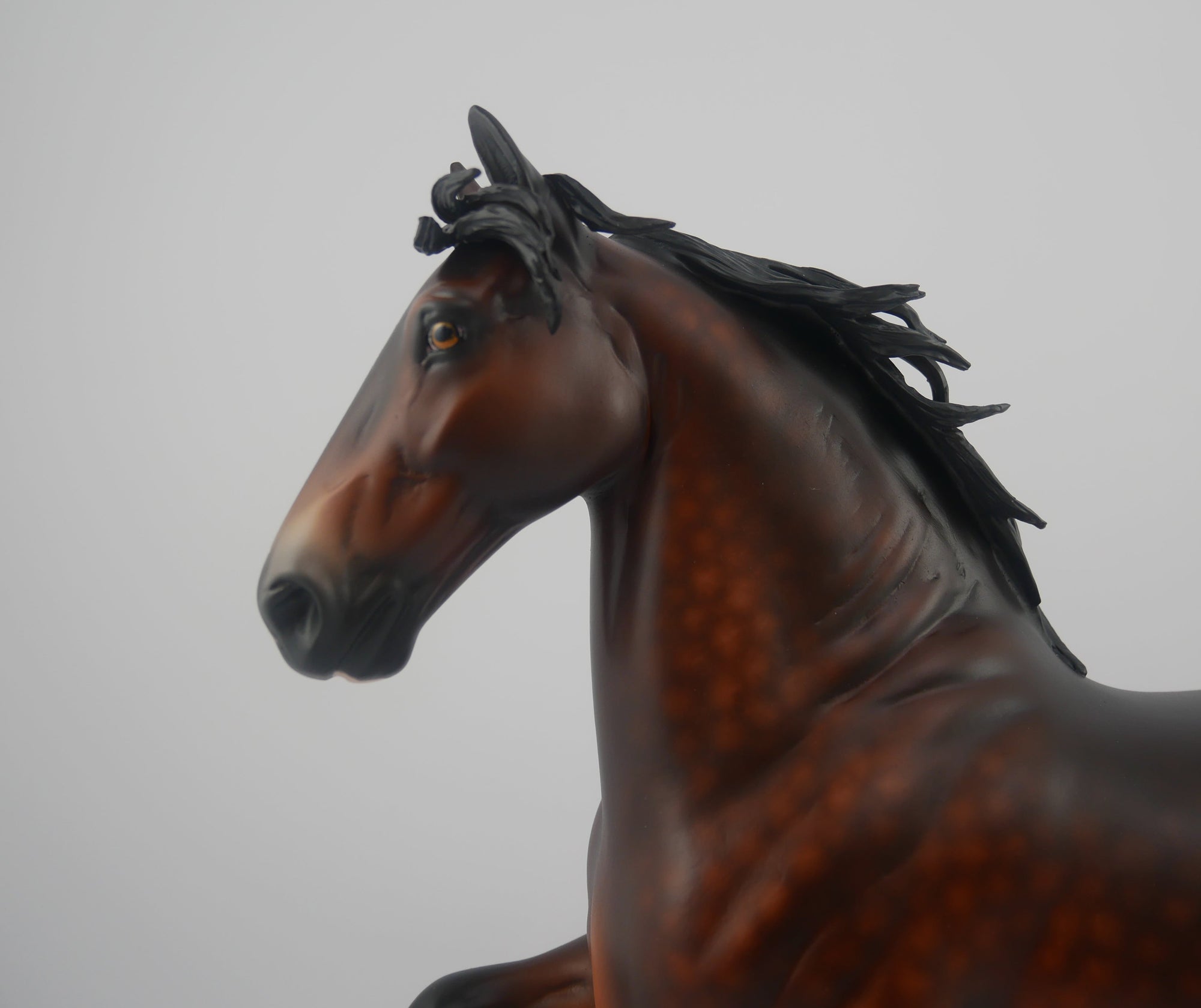 FUTURISTIC-OOAK DAPPLE BAY TROTTING DRAFTER BY SHERYL LEISURE