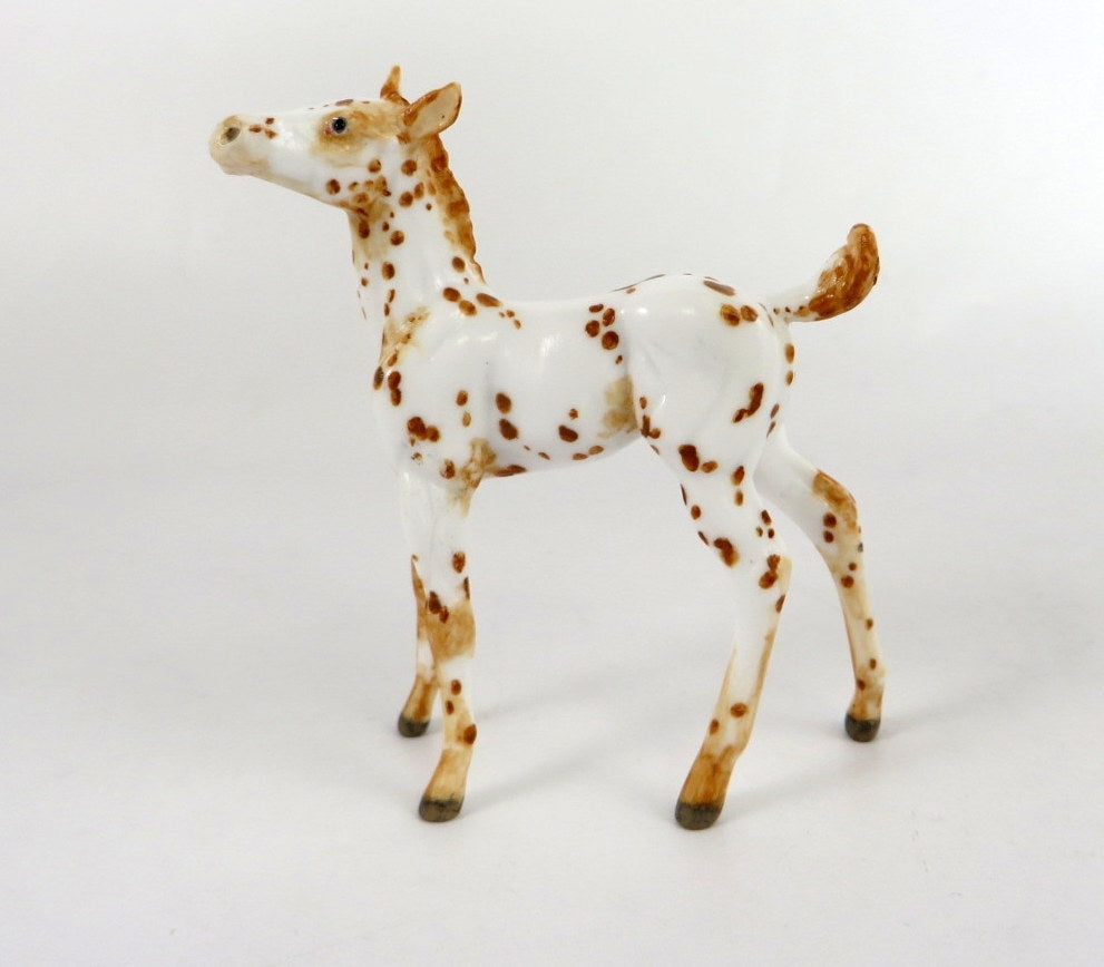 GAGE - OOAK CHESTNUT APPY FOAL CHIP BY ANDREA THOMASON WHS 19