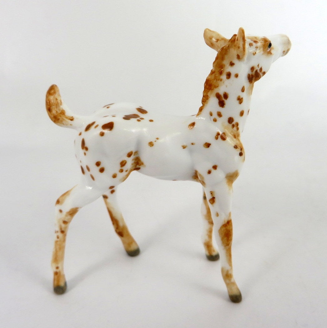 GAGE - OOAK CHESTNUT APPY FOAL CHIP BY ANDREA THOMASON WHS 19