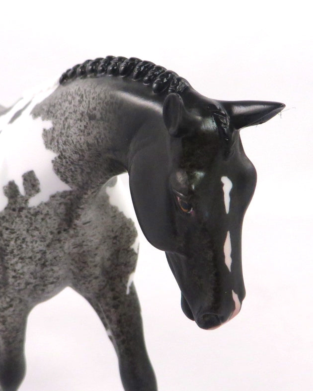 GAGE-OOAK BLUE ROAN PINTO PEBBLES WARMBLOOD MODEL HORSE 1/7/2020