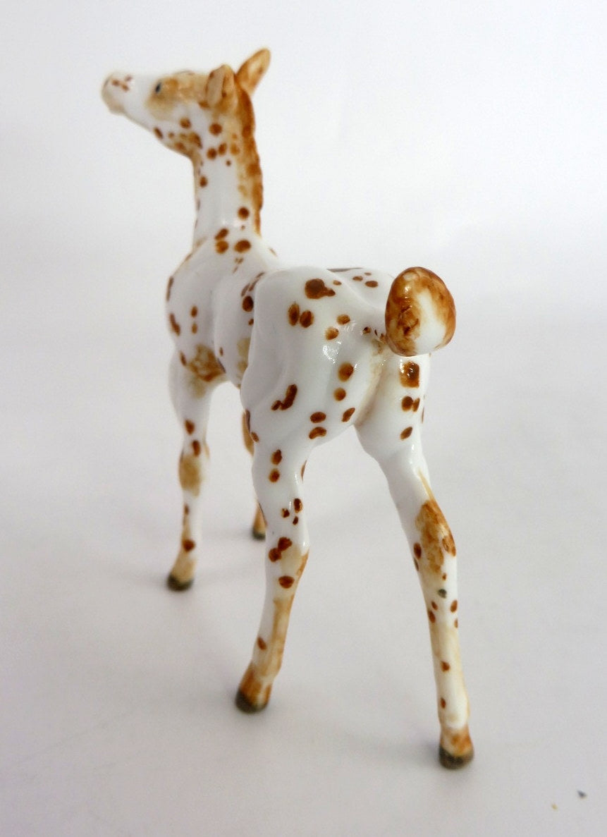 GAGE - OOAK CHESTNUT APPY FOAL CHIP BY ANDREA THOMASON WHS 19