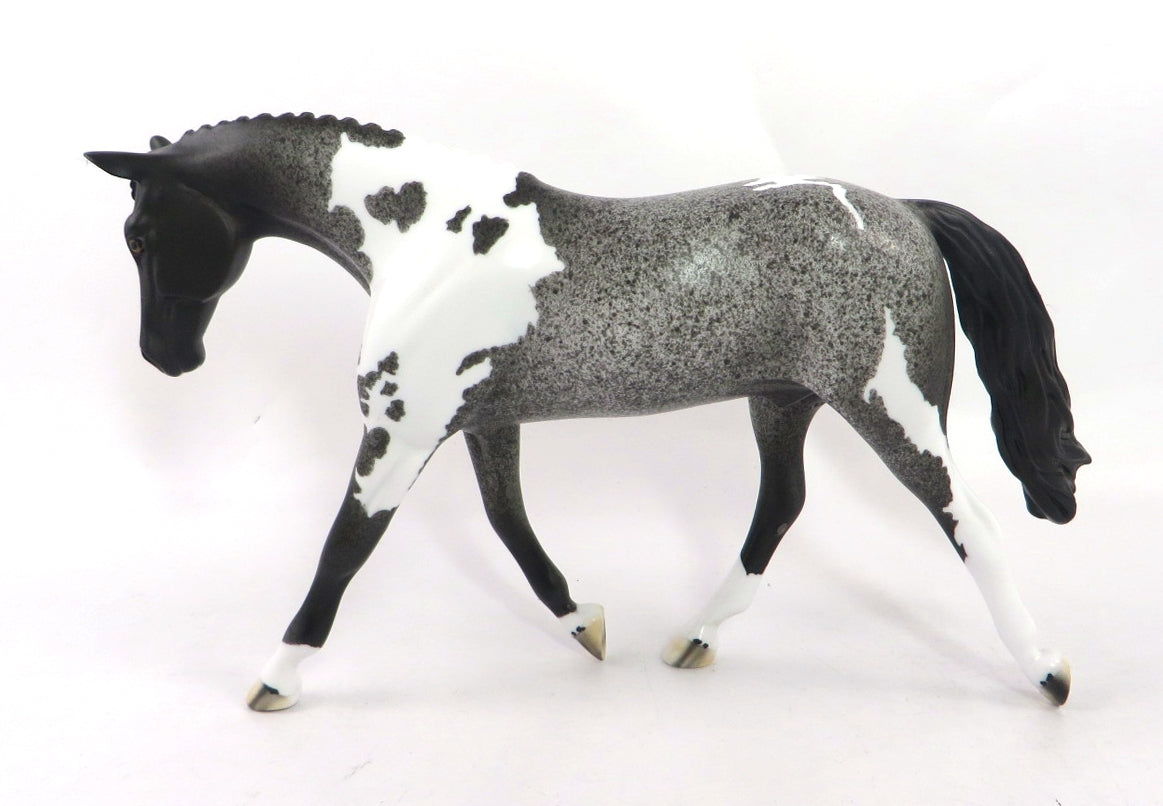 GAGE-OOAK BLUE ROAN PINTO PEBBLES WARMBLOOD MODEL HORSE 1/7/2020