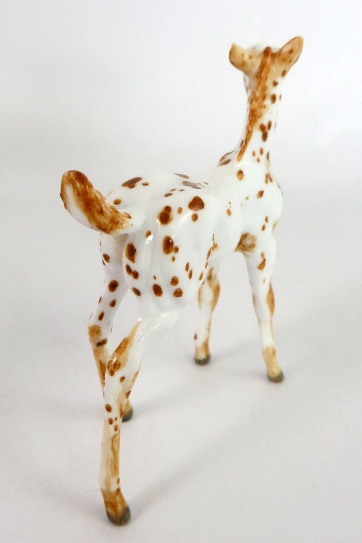 GAGE - OOAK CHESTNUT APPY FOAL CHIP BY ANDREA THOMASON WHS 19