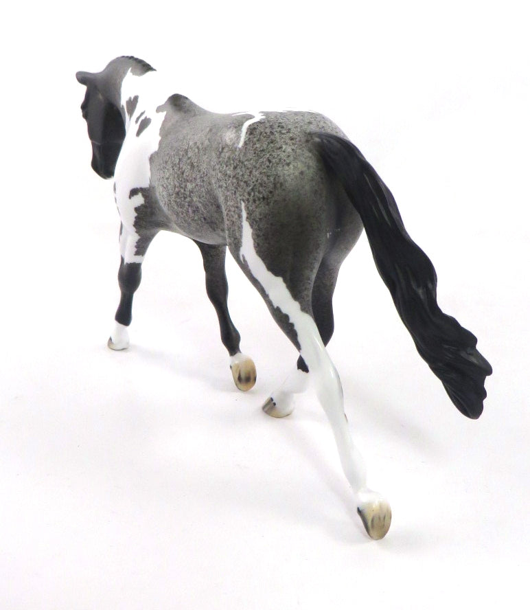 GAGE-OOAK BLUE ROAN PINTO PEBBLES WARMBLOOD MODEL HORSE 1/7/2020