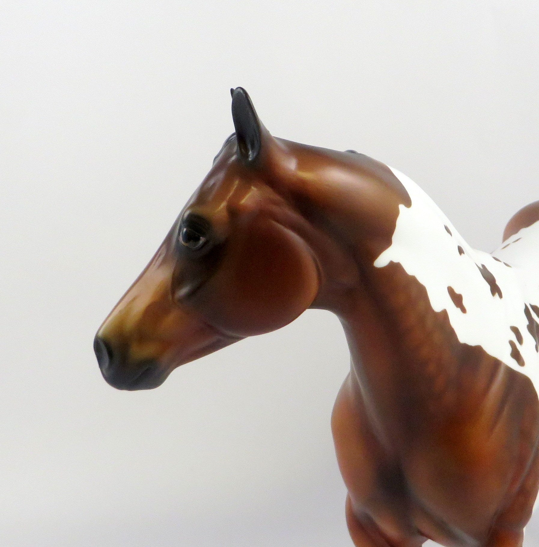 GAHERIS-OOAK BAY TOBANO ISH MODEL HORSE EQ 19