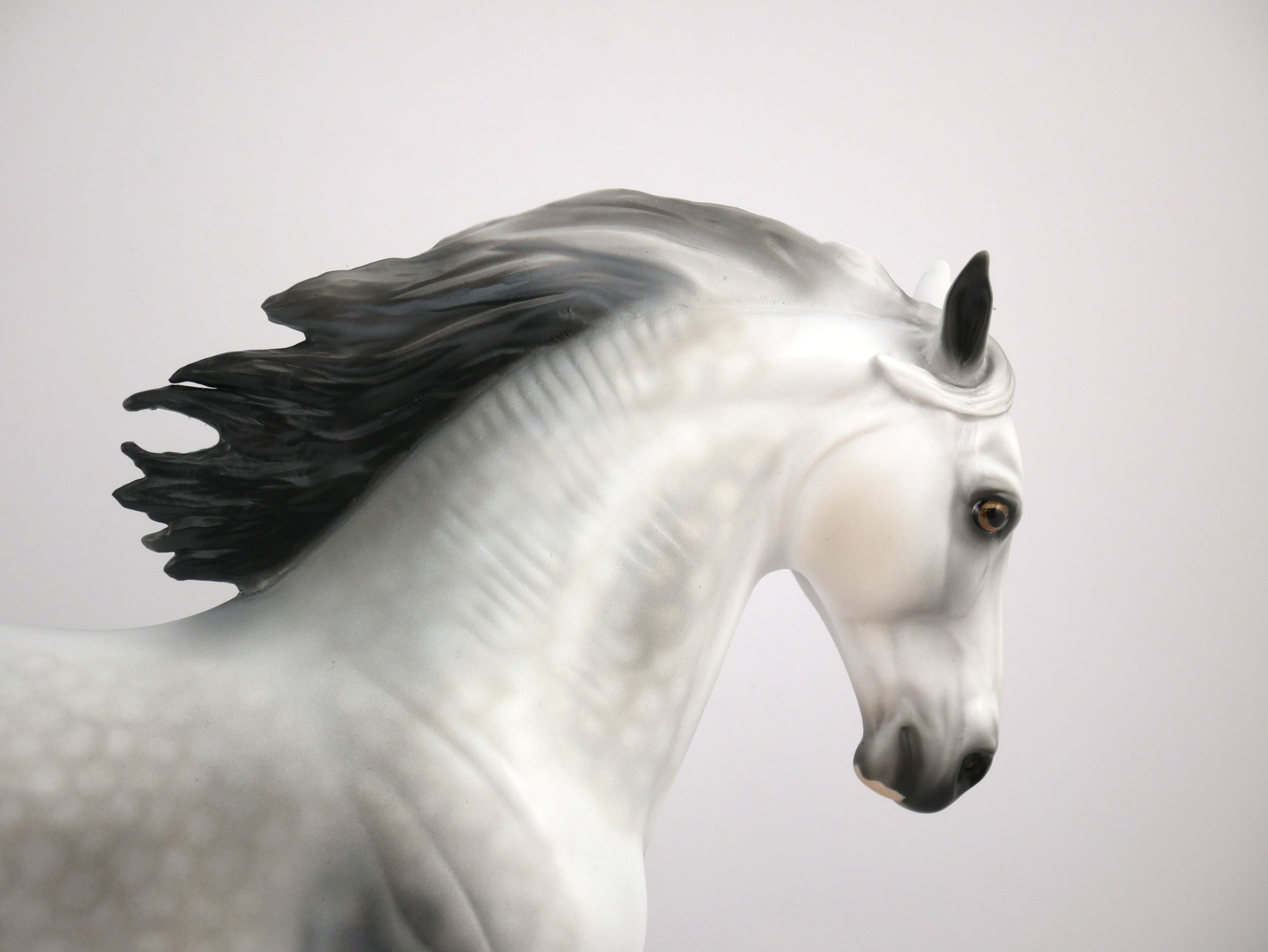 GAME ON - LE-7 DAPPLE GREY CM ANDALUSION MODEL HORSE BY AUDREY DIXON 7/22/20