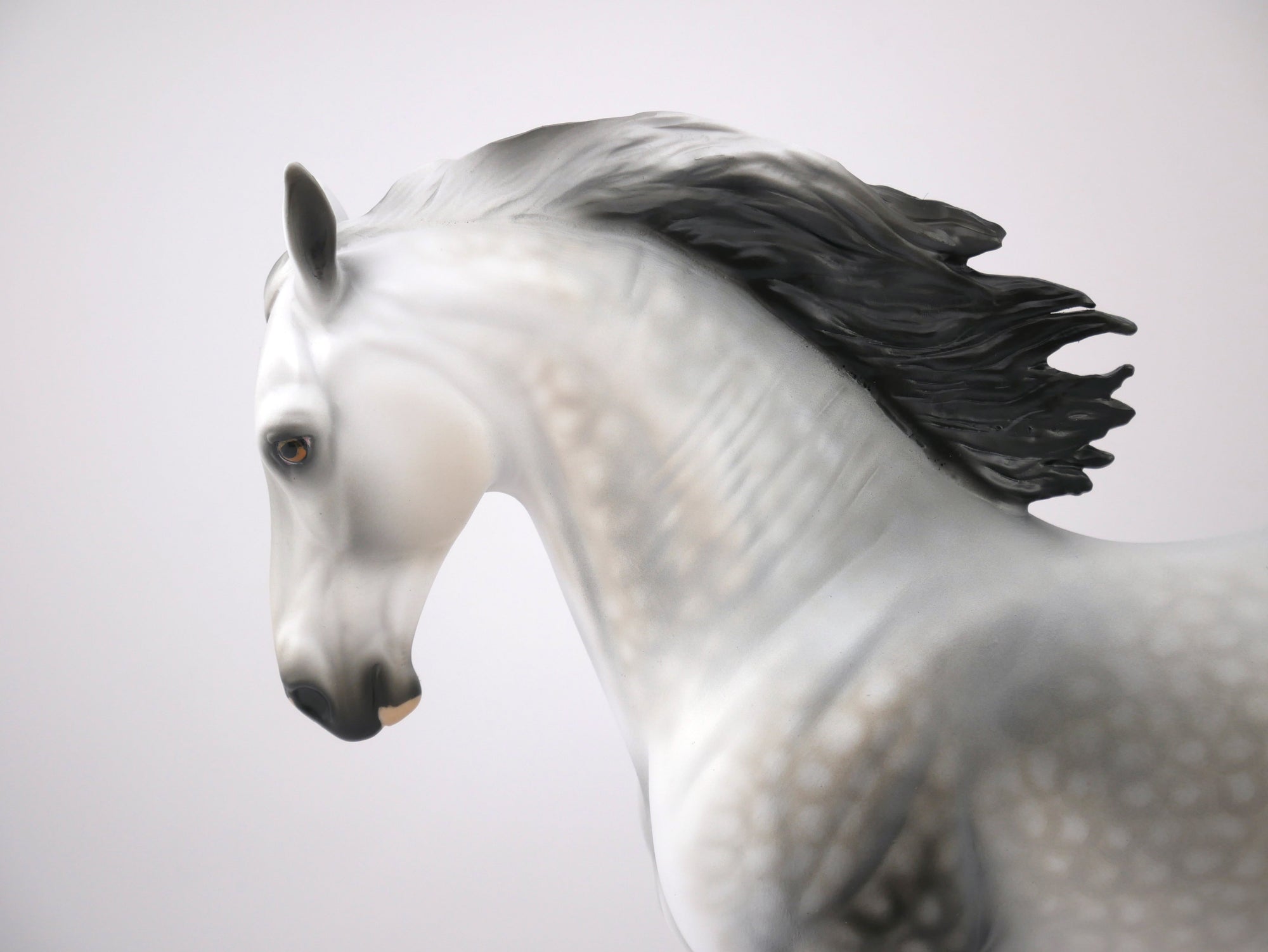 GAME ON - LE-7 DAPPLE GREY CM ANDALUSION MODEL HORSE BY AUDREY DIXON 7/22/20