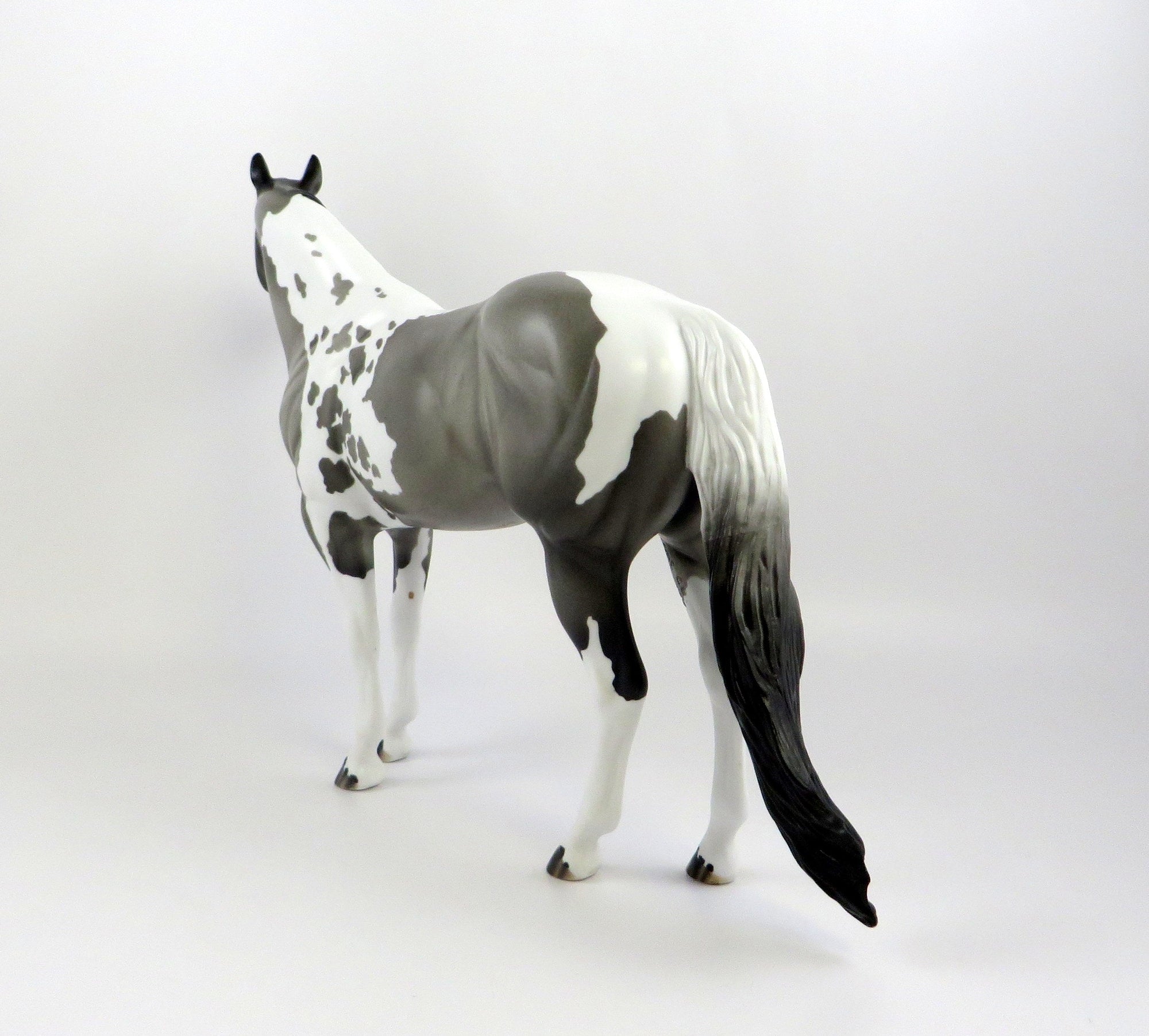 GARETH-OOAK BLUE ROAN TOBIANO ISH MODEL HORSE EQ 19