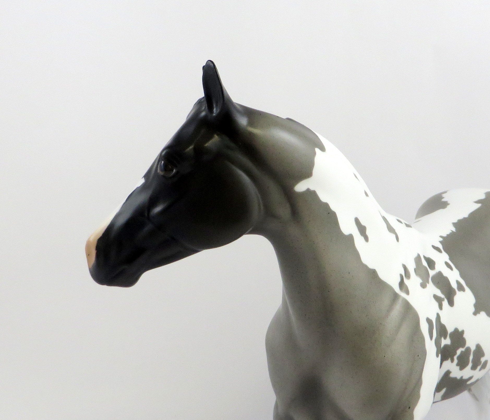 GARETH-OOAK BLUE ROAN TOBIANO ISH MODEL HORSE EQ 19