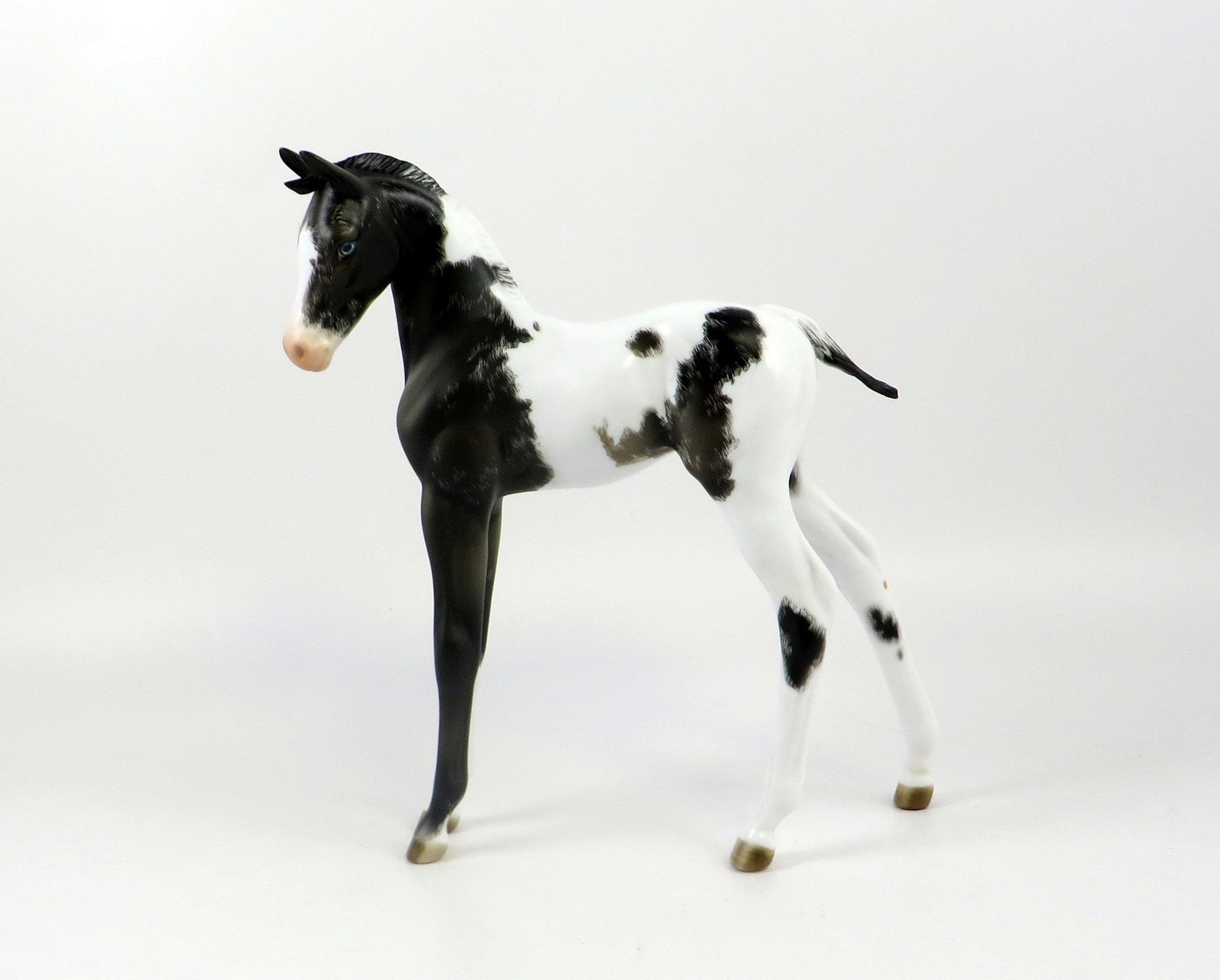 GARNIER-OOAK BLACK TOVERO ETCHED ARAB FOAL MODEL HORSE EQ 19
