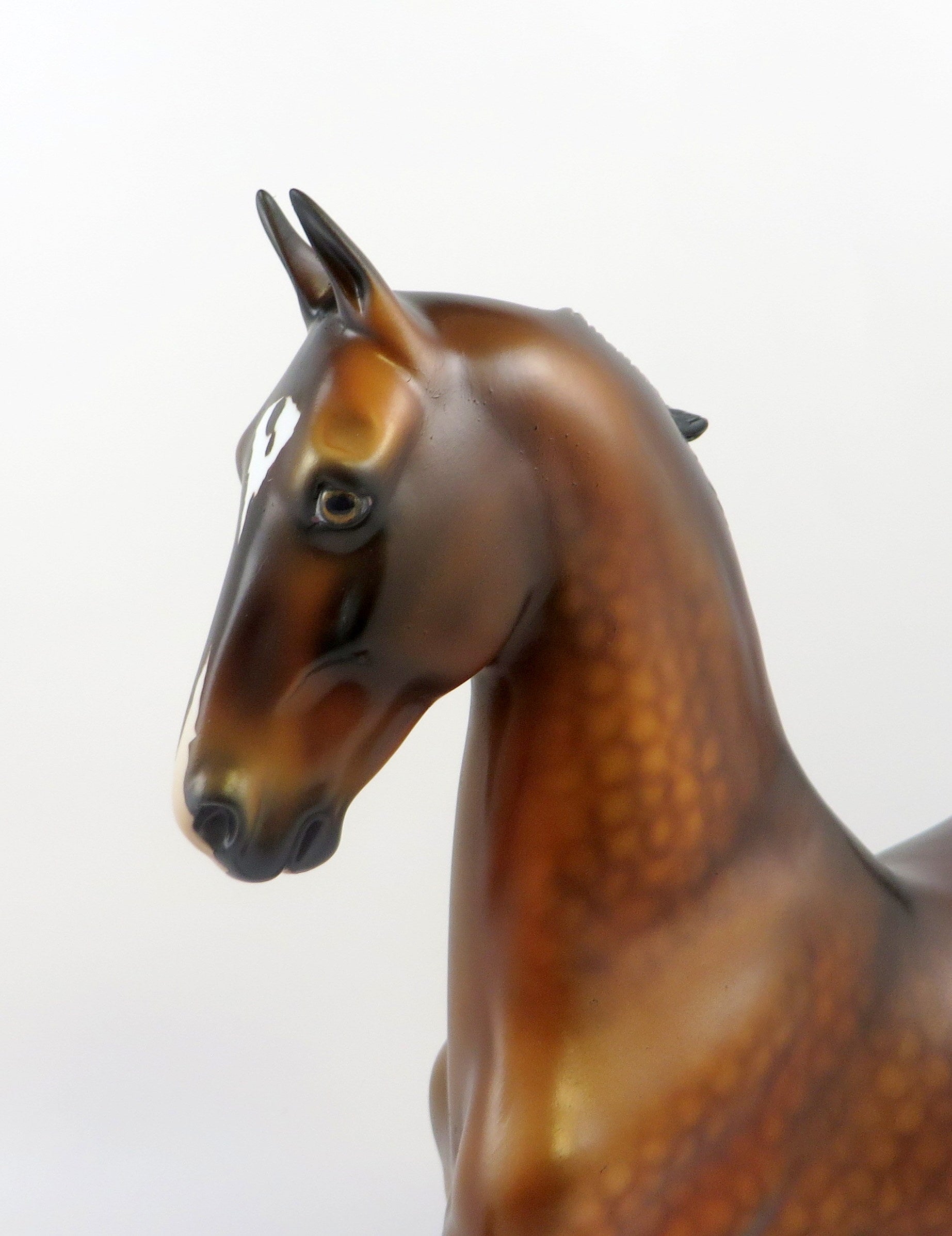 GARSEA-OOAK BAY AMERICAN SADDLEBRED MODEL HORSE EQ 19