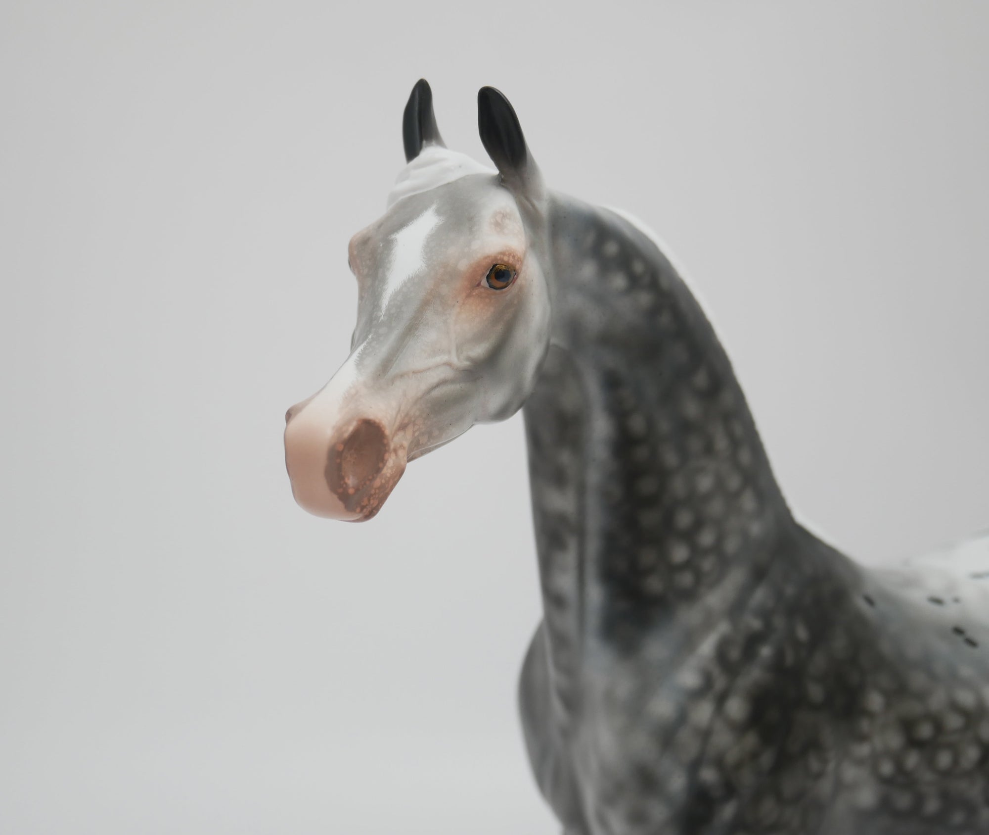 GENTLEMEN SEND FLOWERS-OOAK LOUD APPALOOSA ARABIAN MODEL HORSE 3/13/20