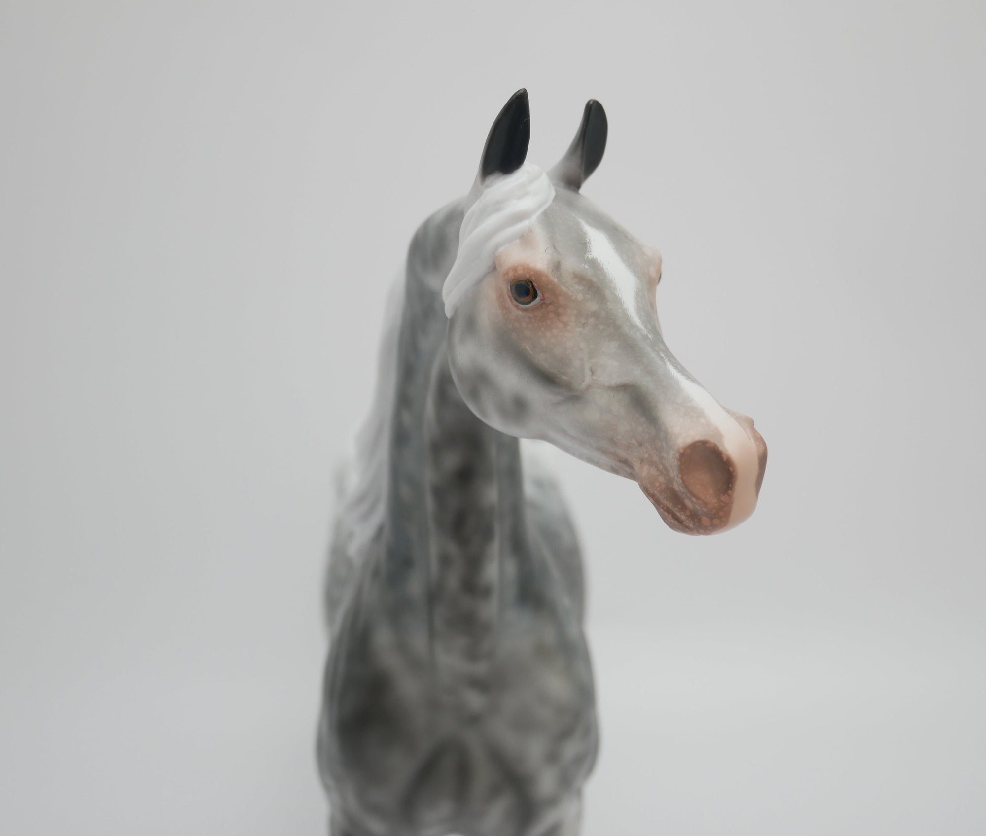 GENTLEMEN SEND FLOWERS-OOAK LOUD APPALOOSA ARABIAN MODEL HORSE 3/13/20