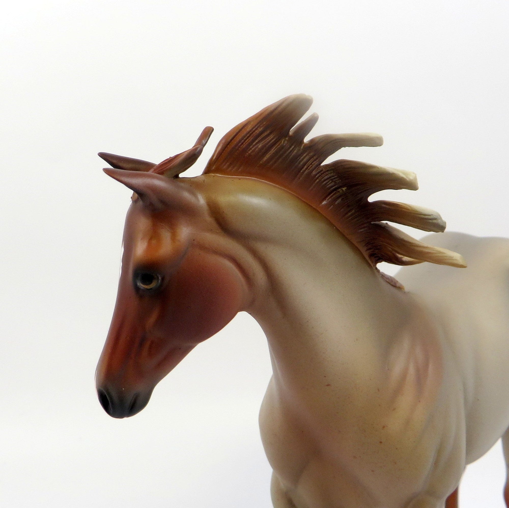 PRINCE GEORGE-LE-15 ROAN WEANLING MODEL HORSE EQ 2019