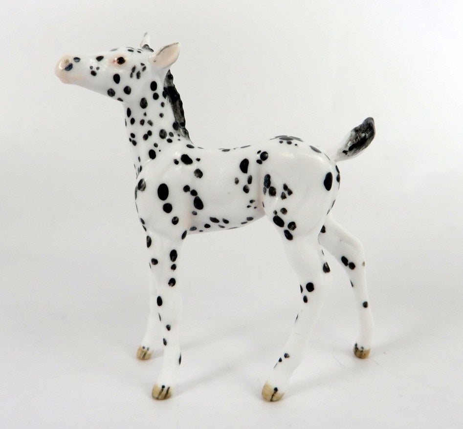 GILLIS-OOAK BLACK  APPY FOAL CHIP BY ANDREA THOMASON WHS 19