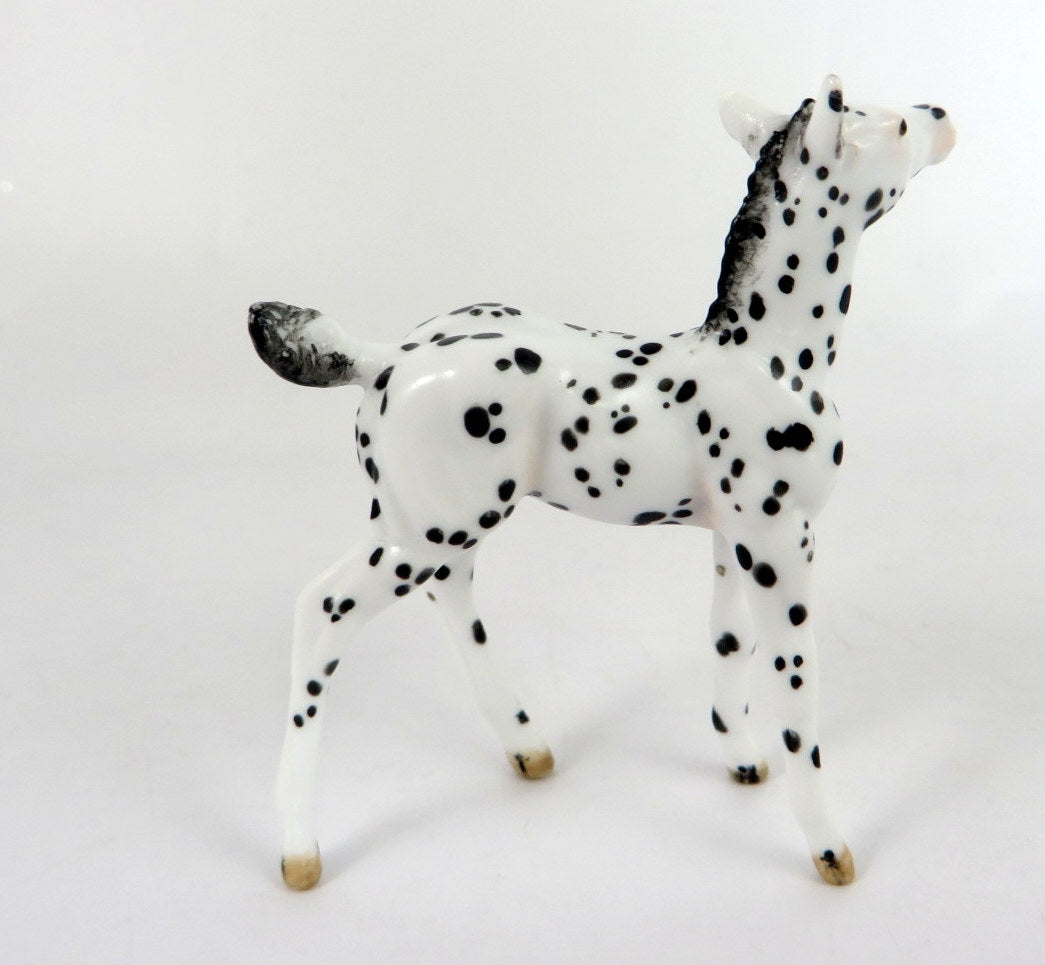 GILLIS-OOAK BLACK  APPY FOAL CHIP BY ANDREA THOMASON WHS 19