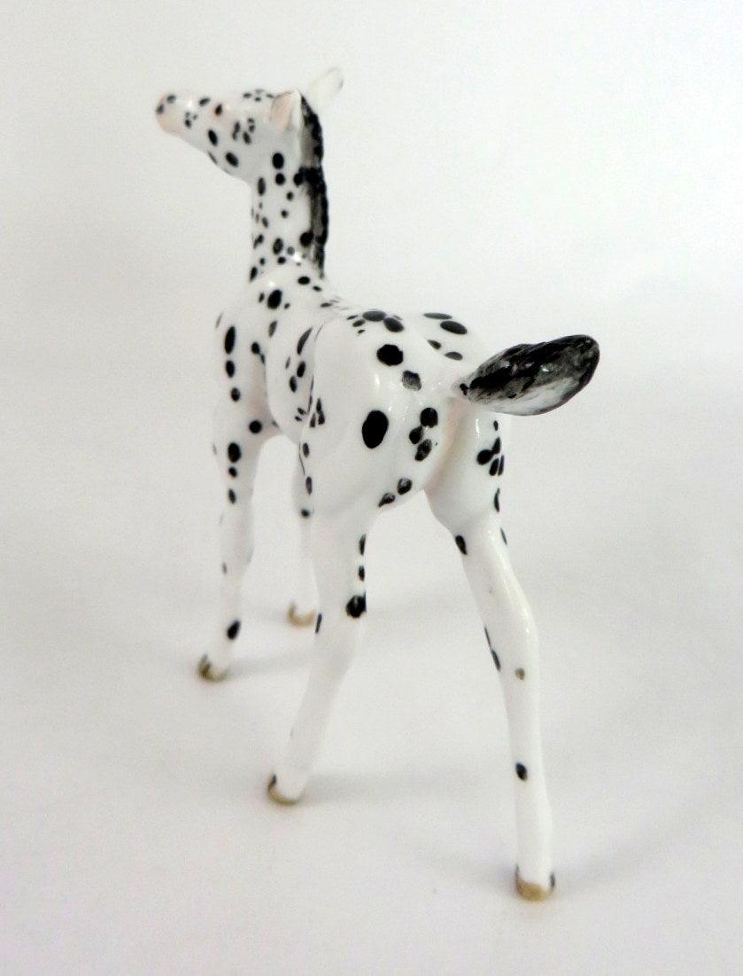 GILLIS-OOAK BLACK  APPY FOAL CHIP BY ANDREA THOMASON WHS 19