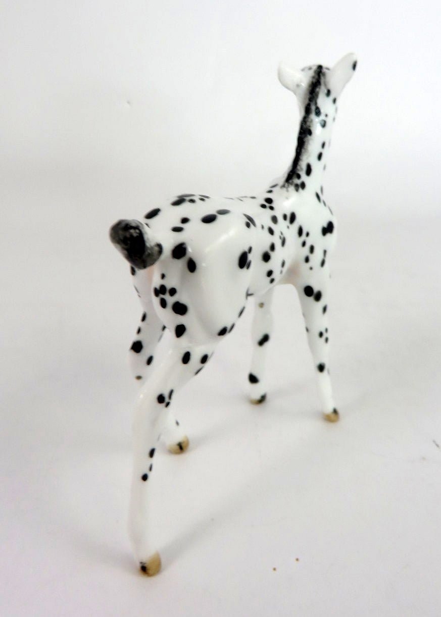 GILLIS-OOAK BLACK  APPY FOAL CHIP BY ANDREA THOMASON WHS 19