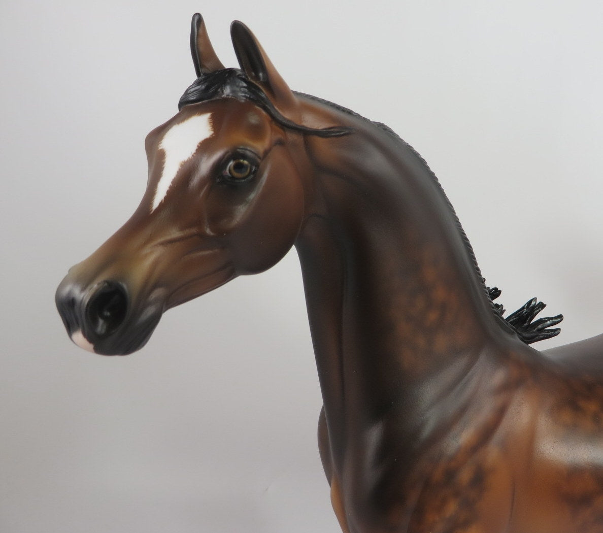 GIMBEL-OOAK STAR DAPPLE BAY ARABIAN MODEL HORSE BY SHERYL LEISURE WHS 19