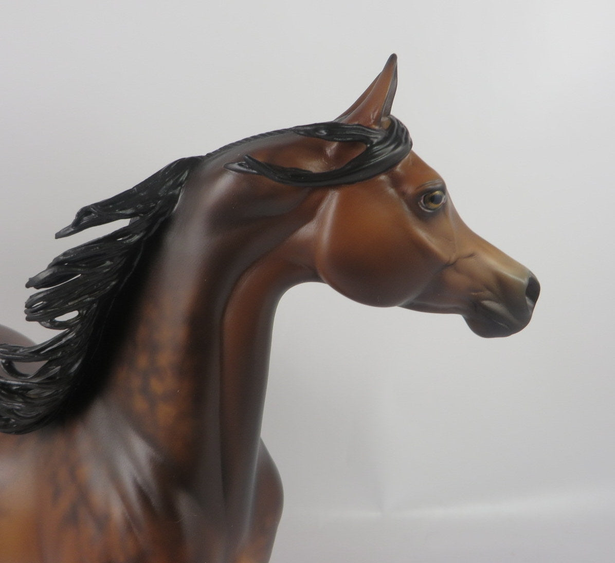GIMBEL-OOAK STAR DAPPLE BAY ARABIAN MODEL HORSE BY SHERYL LEISURE WHS 19