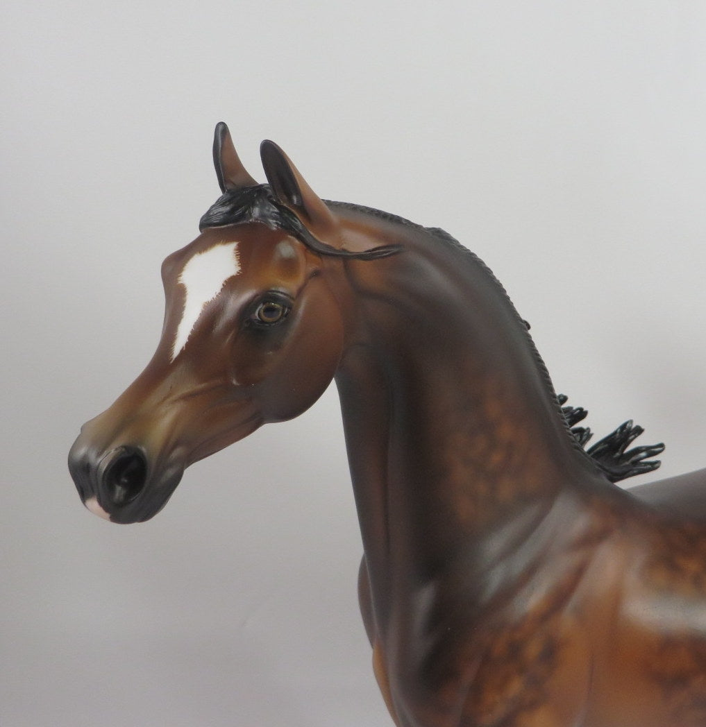 GIMBEL-OOAK STAR DAPPLE BAY ARABIAN MODEL HORSE BY SHERYL LEISURE WHS 19