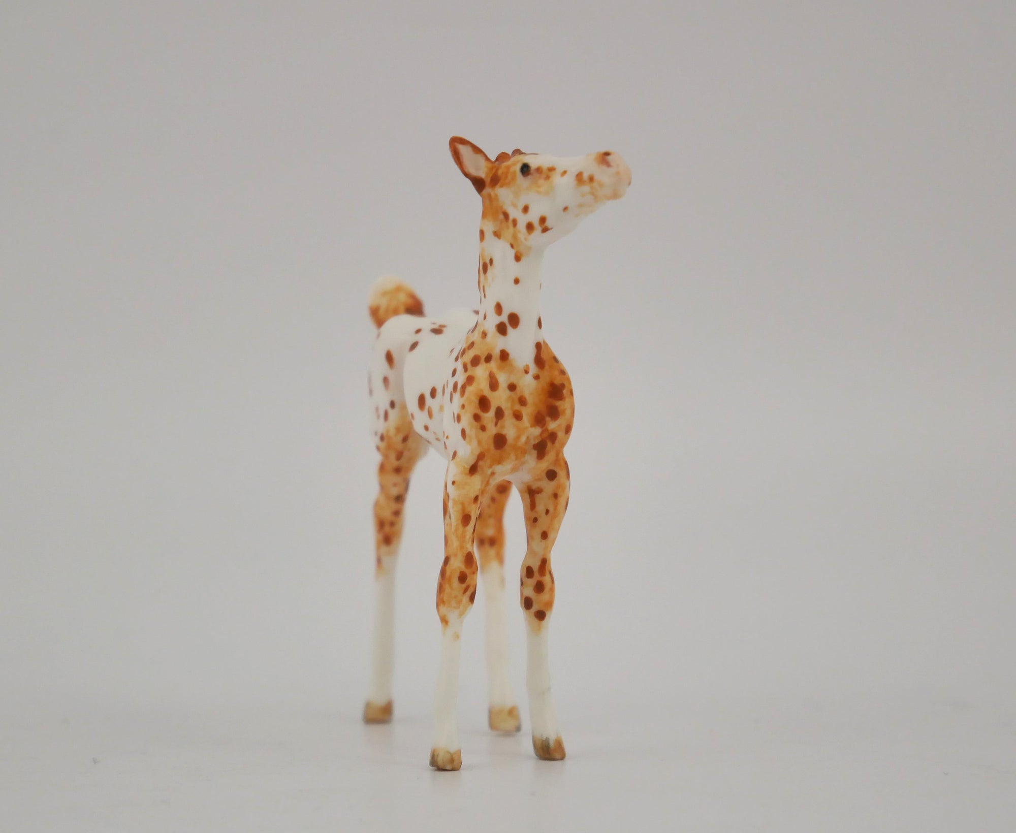 GINGER -OOAK CHESTNUT LEOPARD APPALOOSA FOAL BY ANDREA